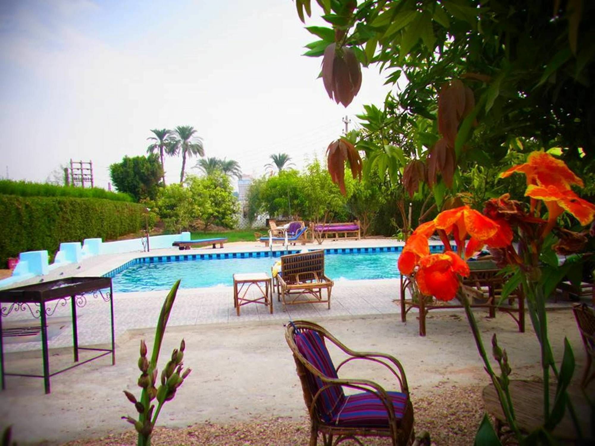 Nile Compound Hotel Luxor Exterior photo